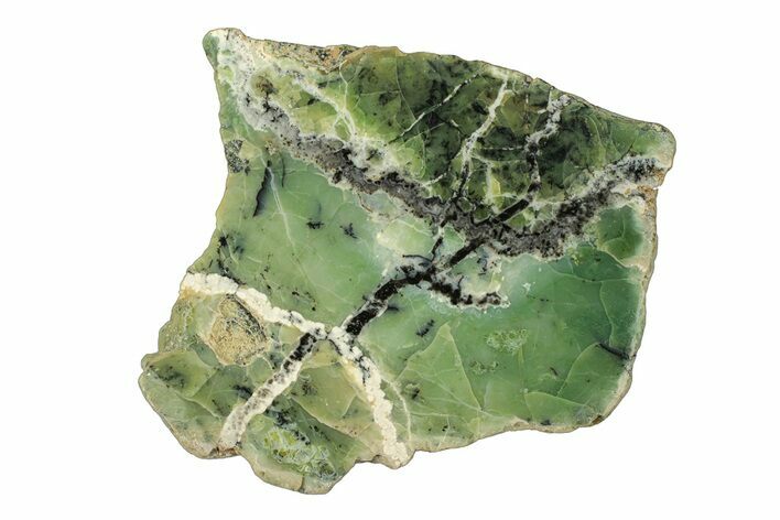 Polished Green-White Opal Slab - Western Australia #280157